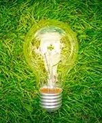 servicio siete doble